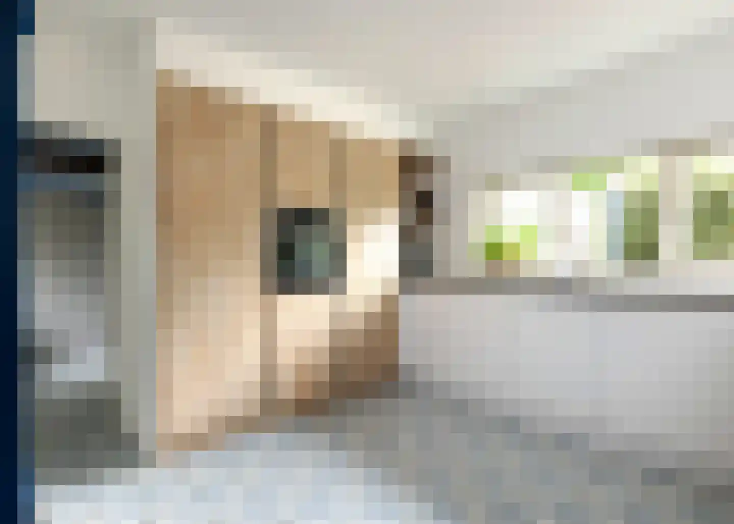 Middenweg 34 A Heerhugowaard thumbnail 6