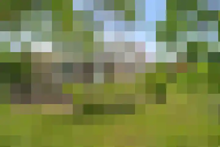 Middenweg 37 Breezand thumbnail 37
