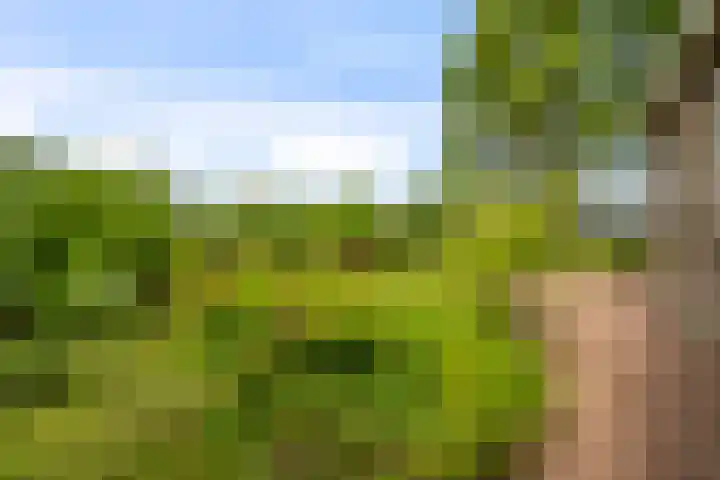 Middenweg 37 Breezand thumbnail 39