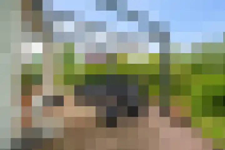 Middenweg 37 Breezand thumbnail 4