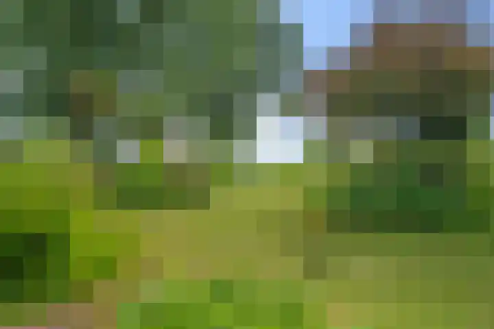 Middenweg 37 Breezand thumbnail 40