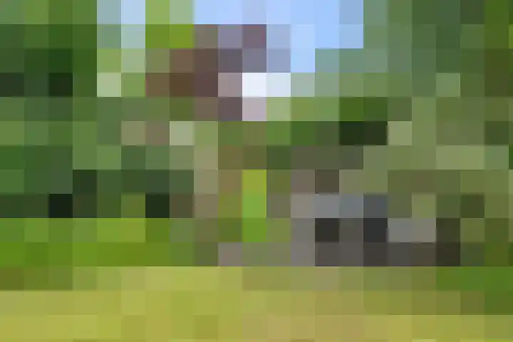 Middenweg 37 Breezand thumbnail 41