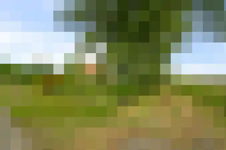 Middenweg 37 Breezand thumbnail 5