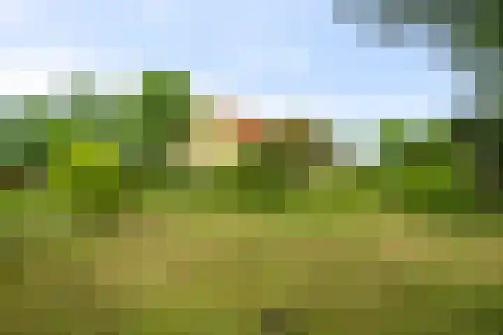 Middenweg 37 Breezand thumbnail 6