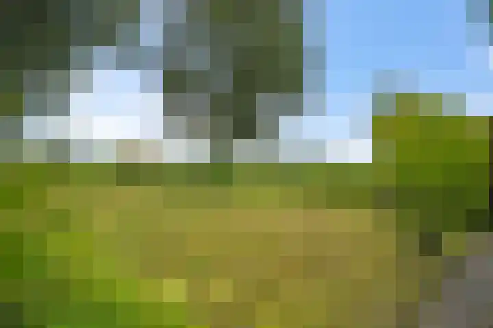 Middenweg 37 Breezand thumbnail 8