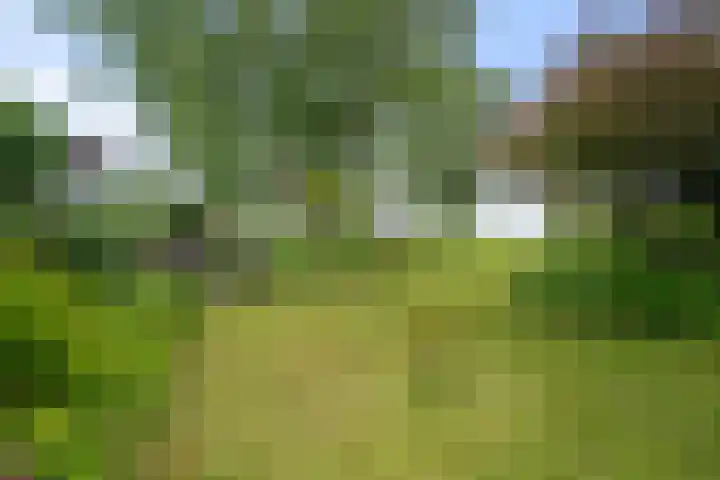 Middenweg 37 Breezand thumbnail 9