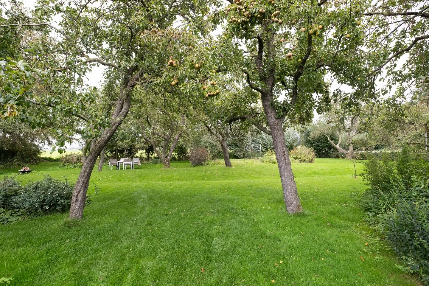 Middenweg 37 Dirkshorn thumbnail 43
