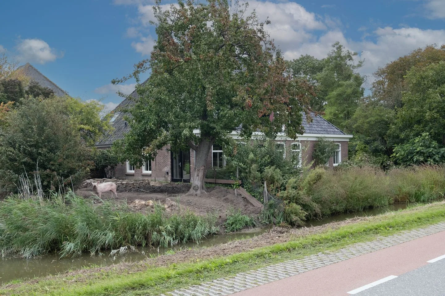 Middenweg 37 Dirkshorn thumbnail 56