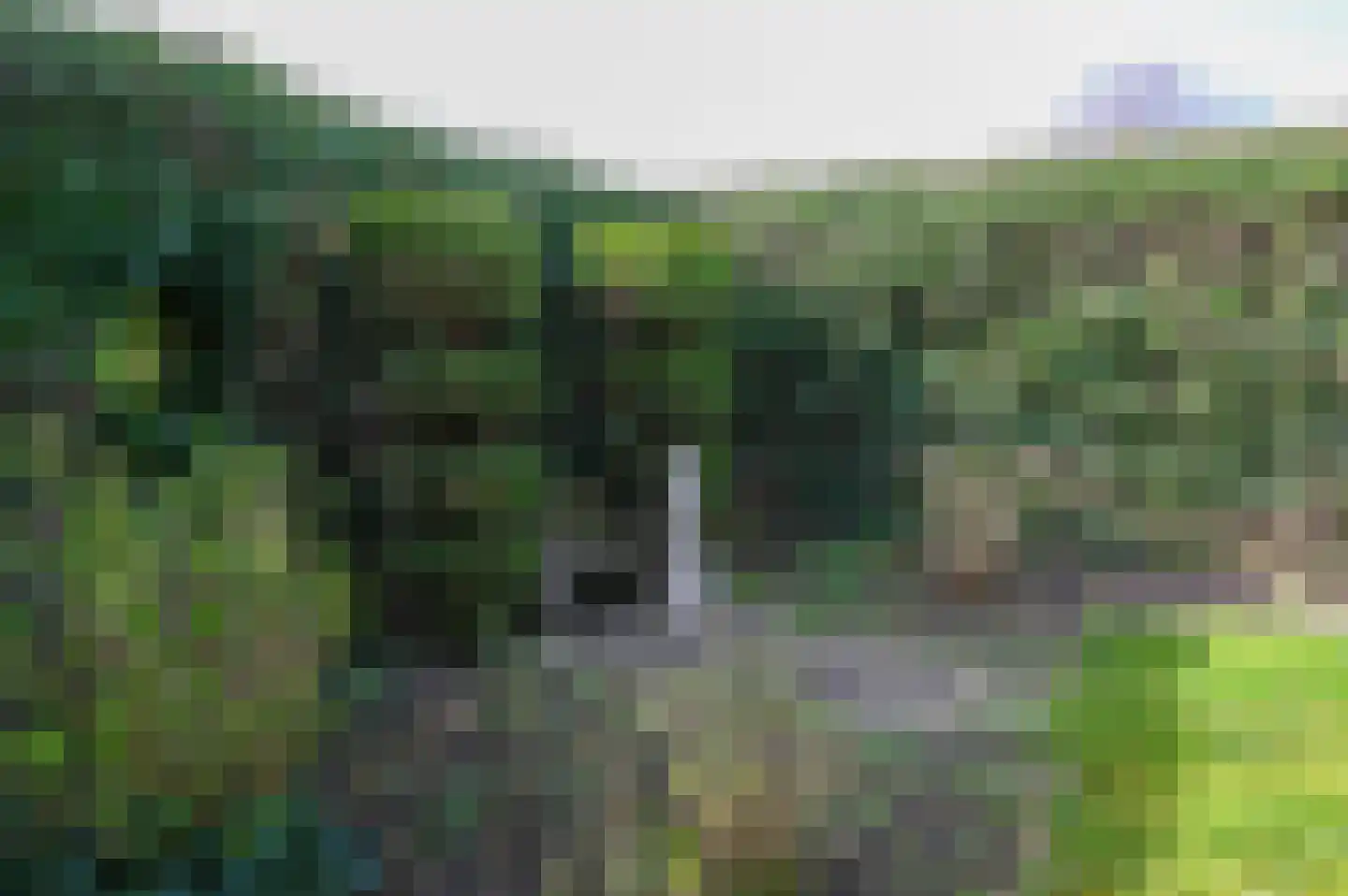 Middenweg 38 Nederhorst den Berg thumbnail 27