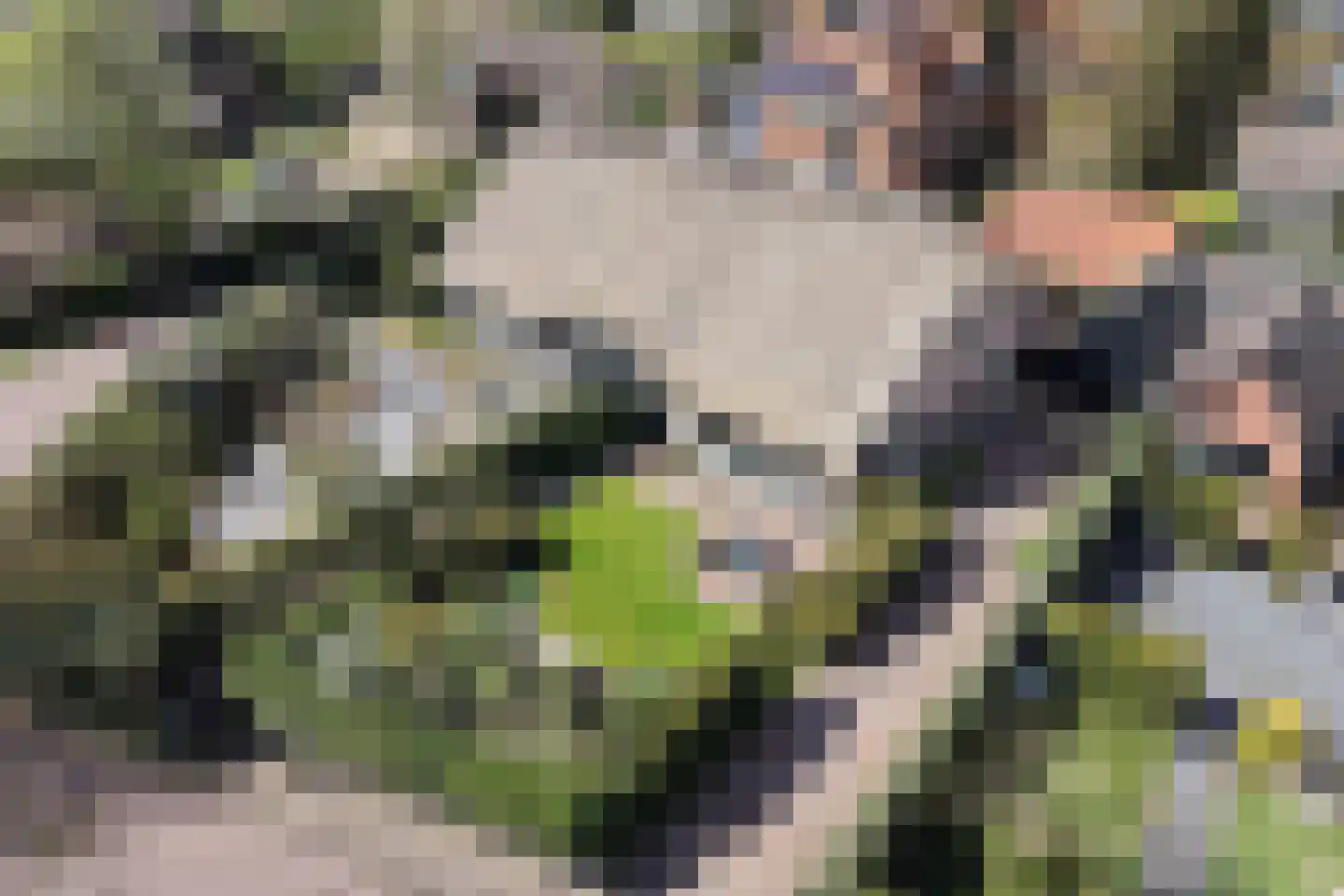 Middenweg 4 b Blaricum thumbnail 5