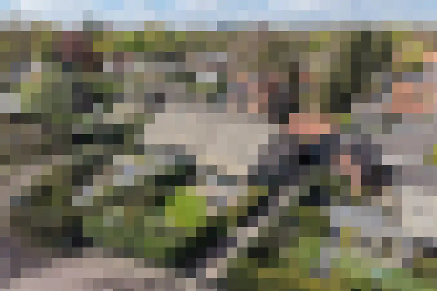 Middenweg 4 b Blaricum thumbnail 8