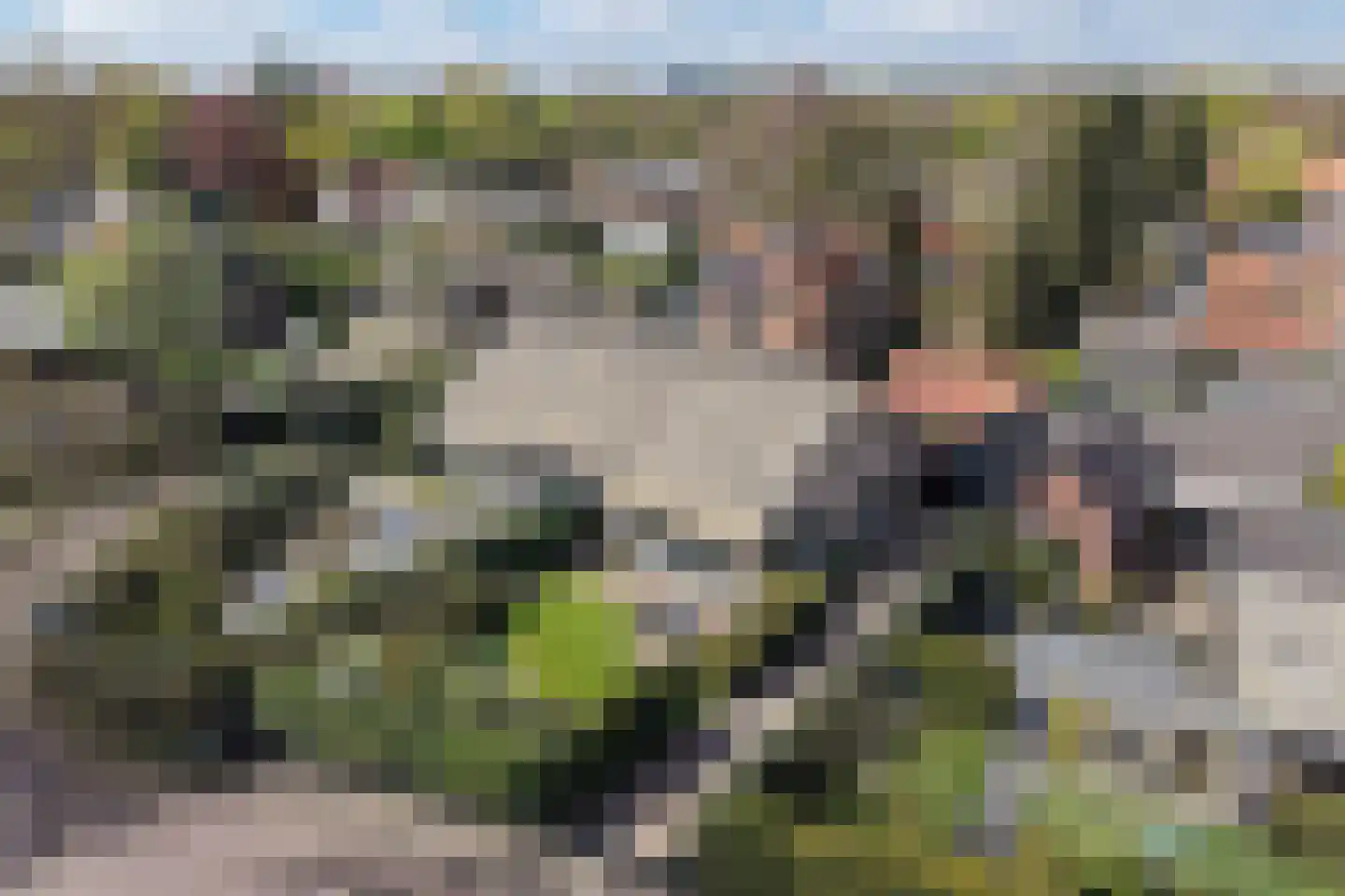 Middenweg 4 b Blaricum thumbnail 8