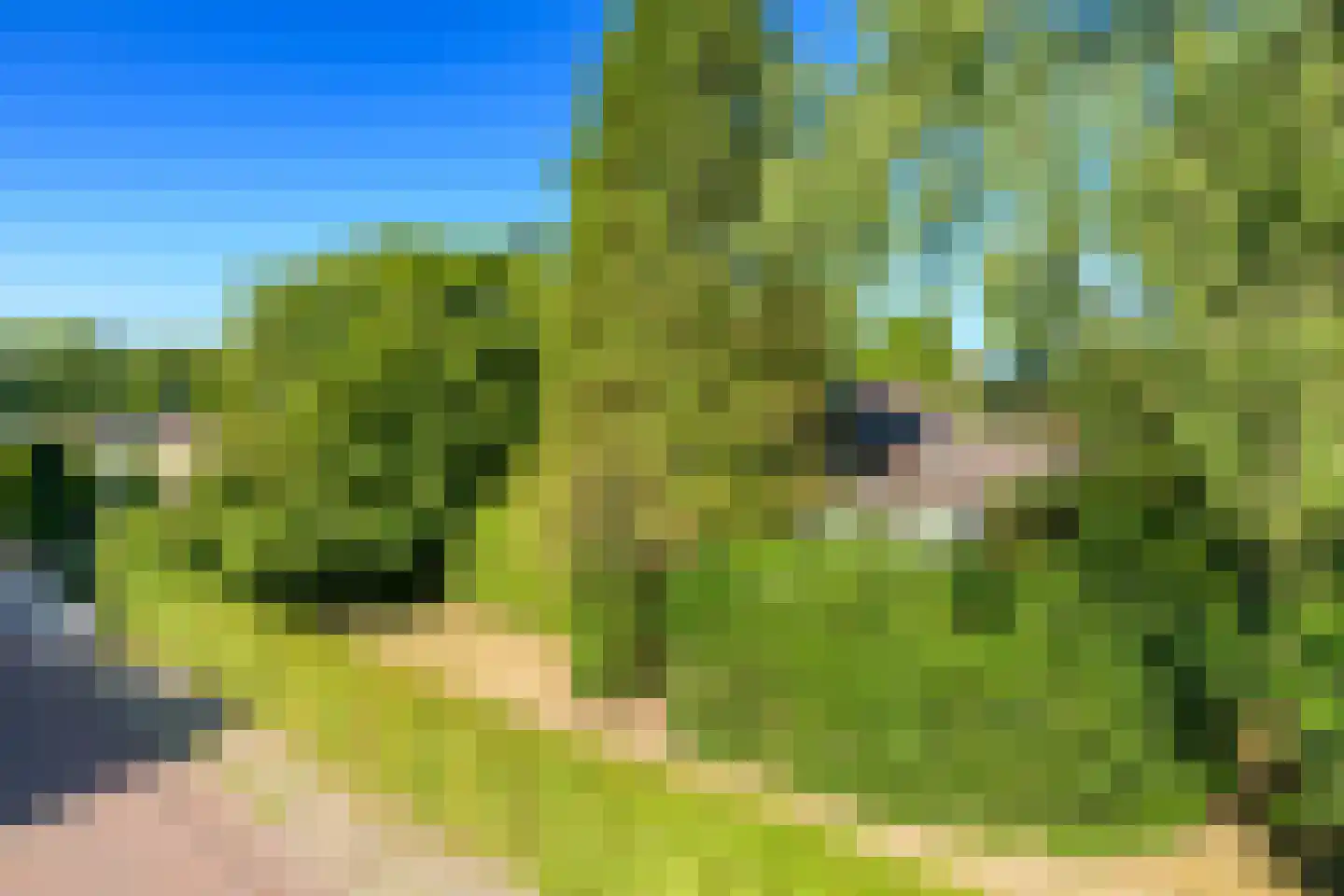 Middenweg 4 Hoenderloo thumbnail 31