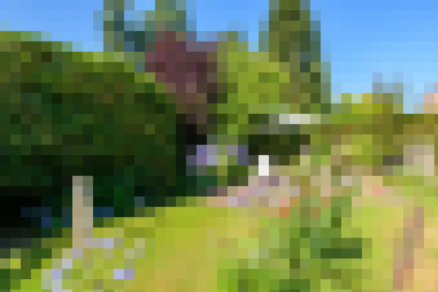 Middenweg 4 Hoenderloo thumbnail 36