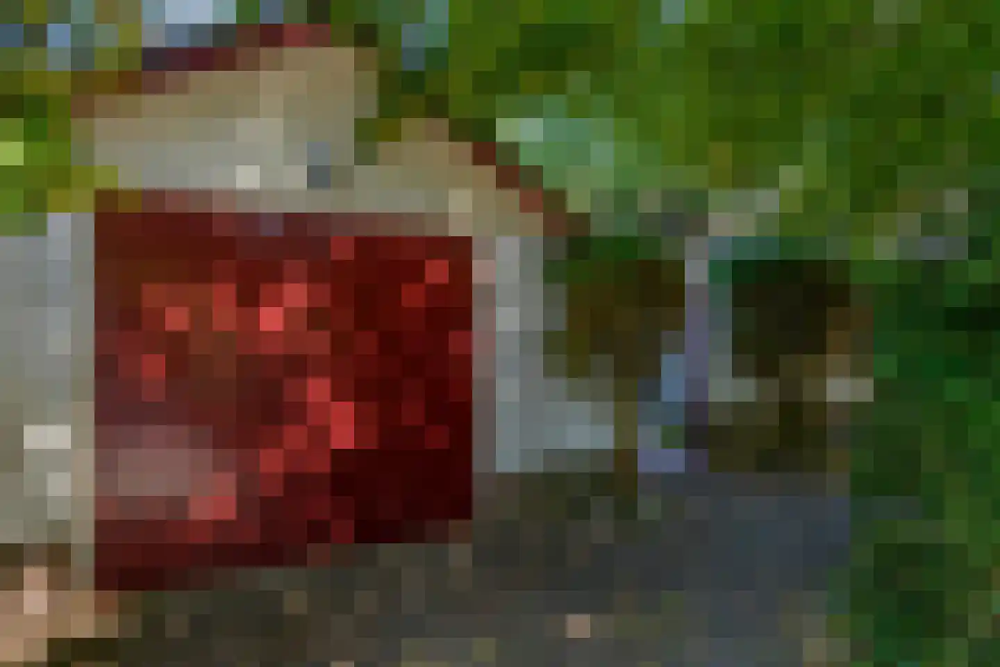 Middenweg 4 Hoenderloo thumbnail 4