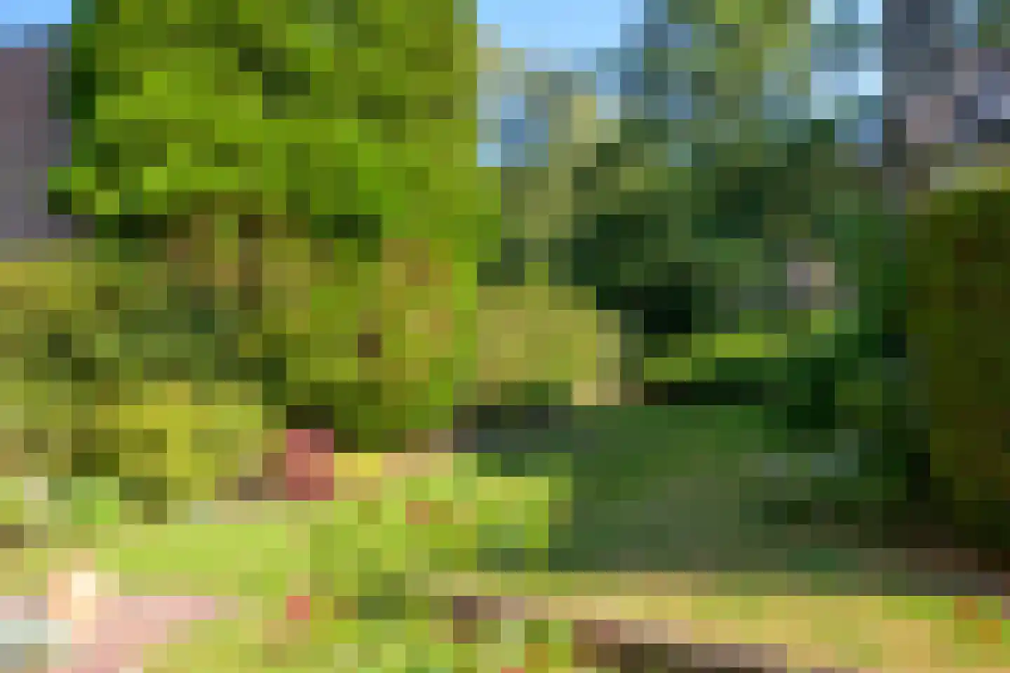 Middenweg 4 Hoenderloo thumbnail 41