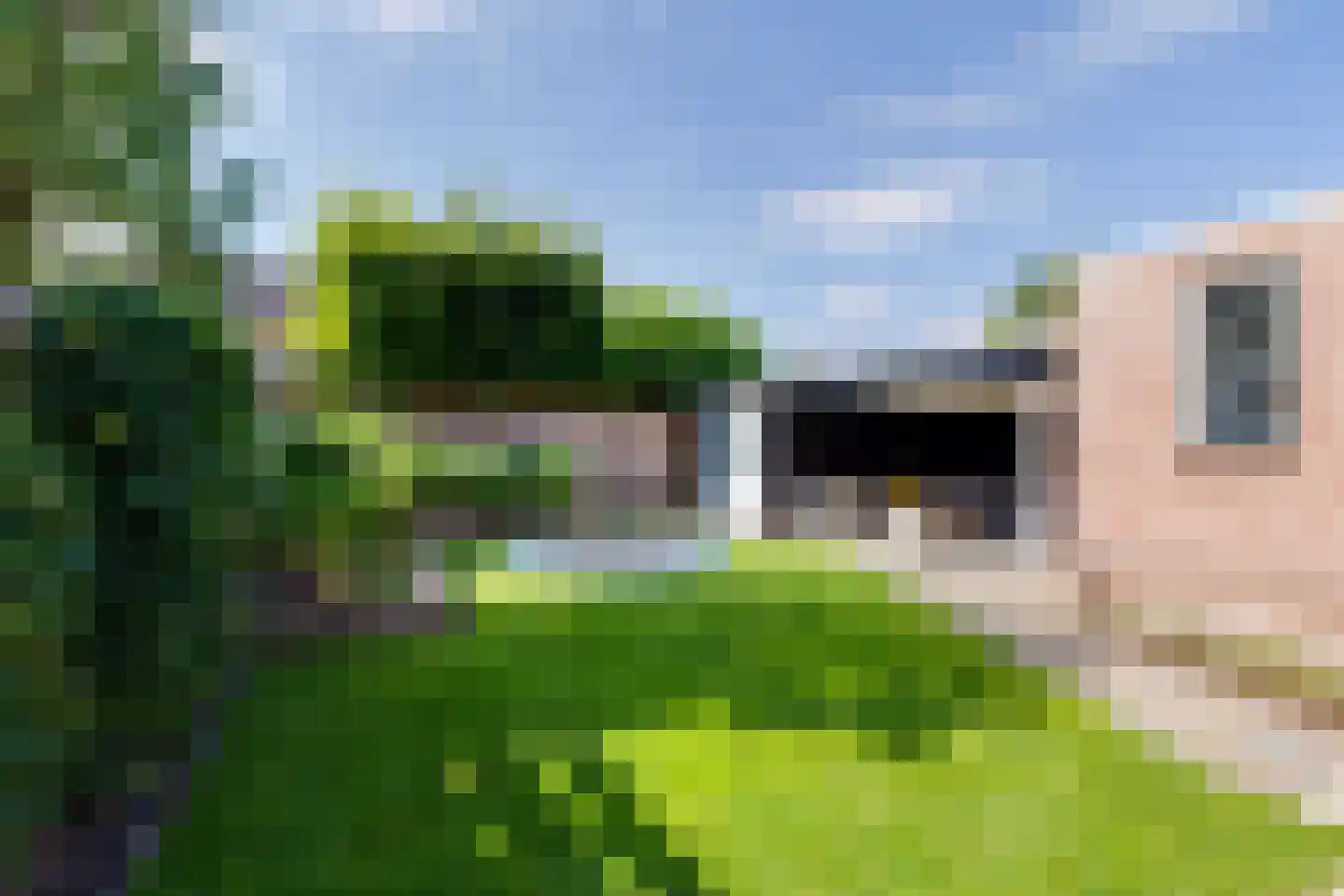 Middenweg 43 Hengelo (Gld) thumbnail 48