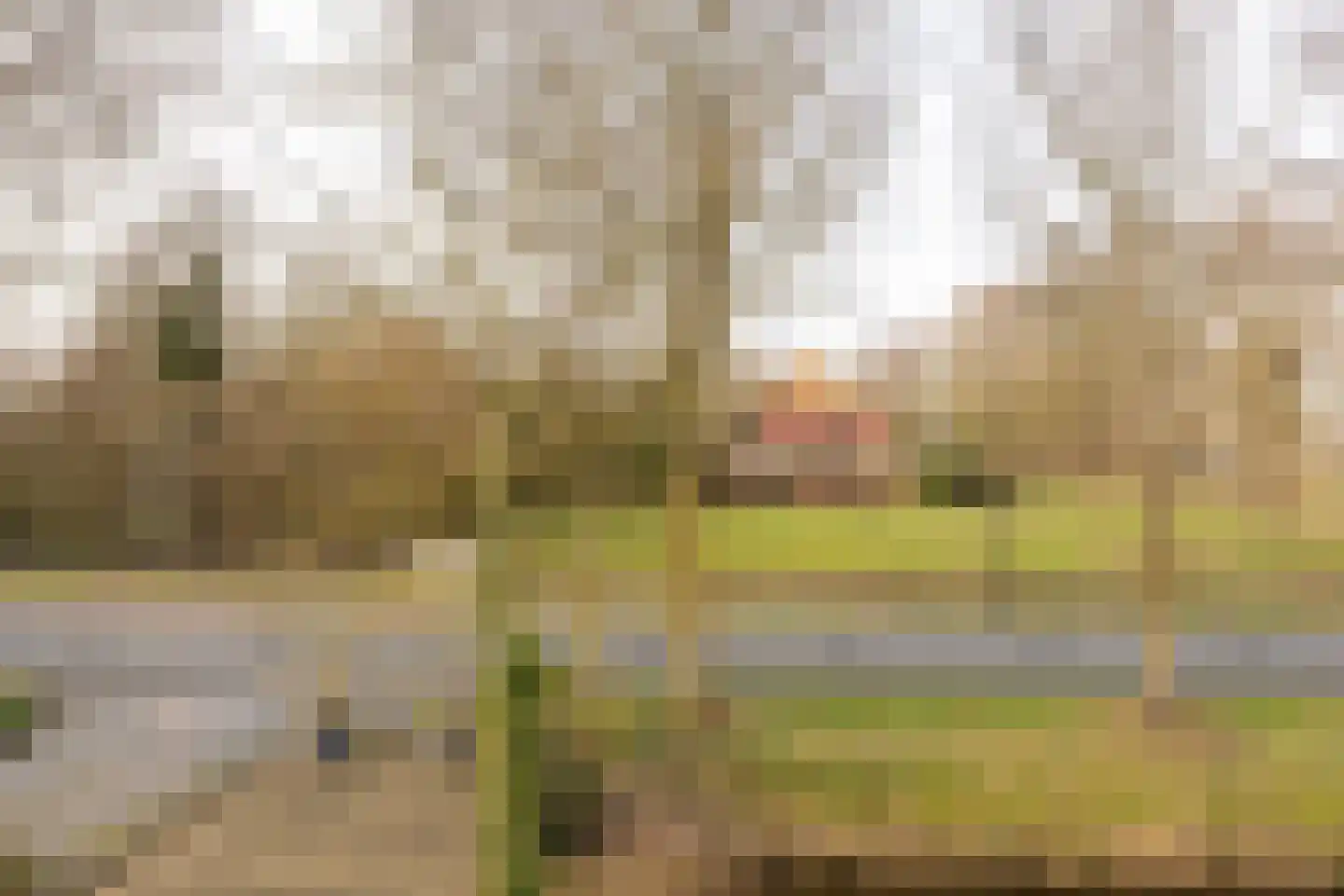Middenweg 432 Heerhugowaard thumbnail 30