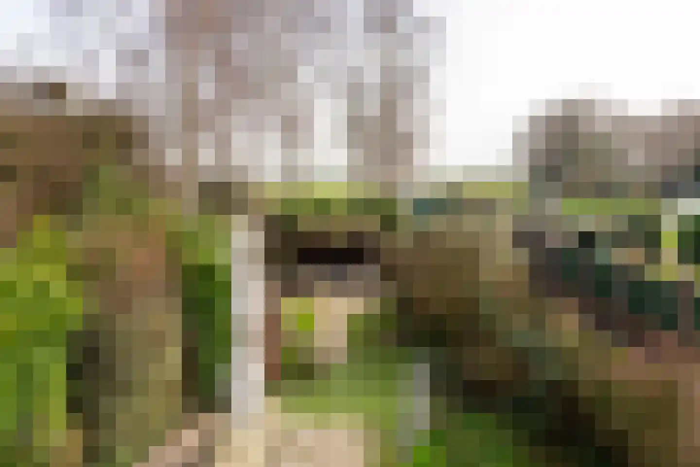 Middenweg 432 Heerhugowaard thumbnail 35