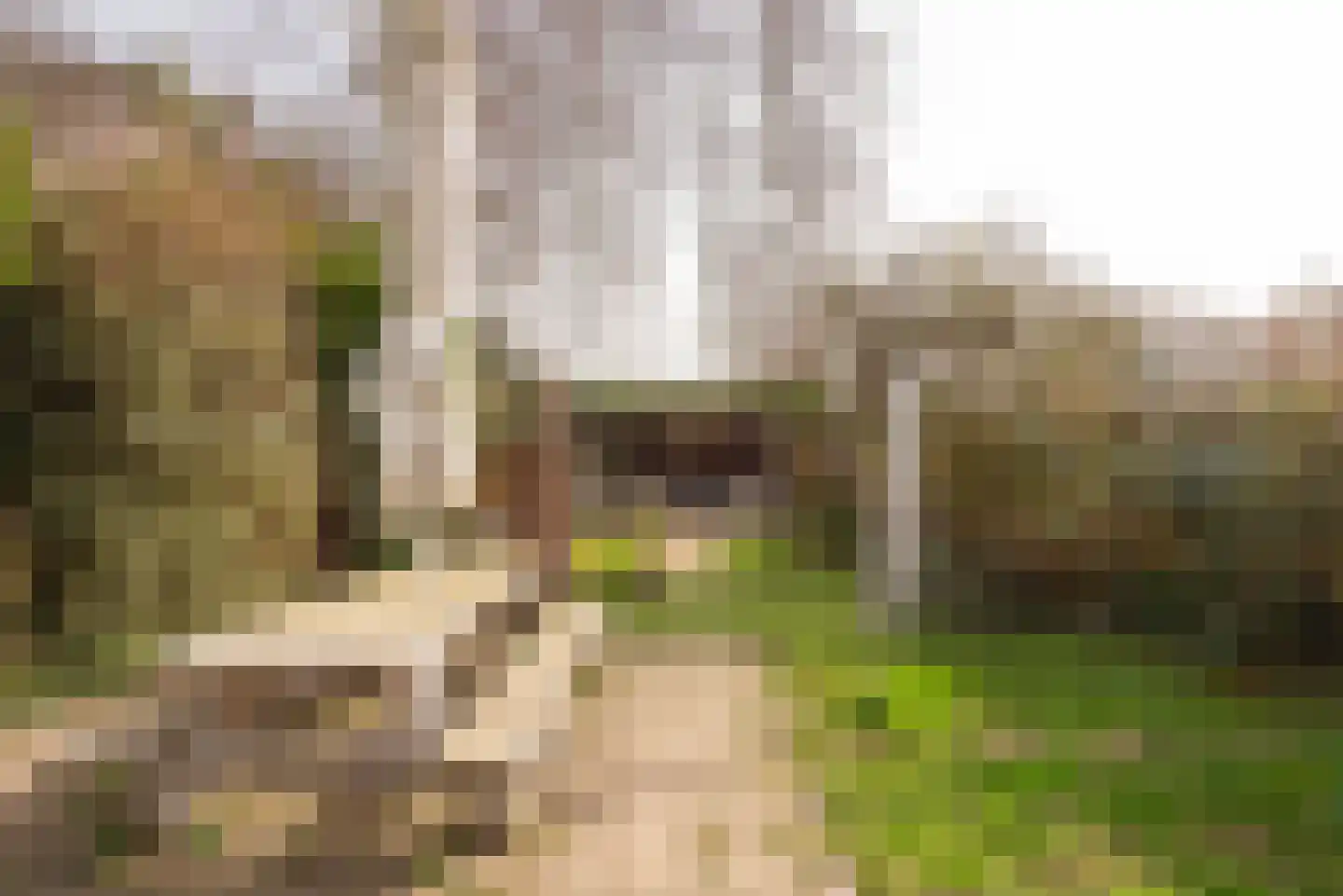 Middenweg 432 Heerhugowaard thumbnail 54