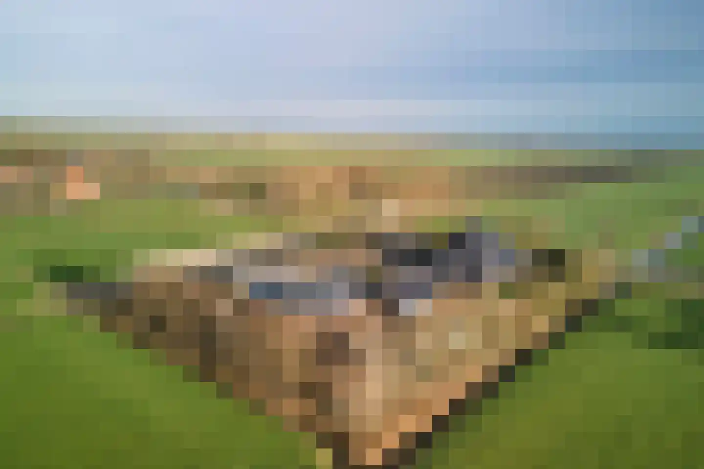 Middenweg 45 Noordbeemster thumbnail 101