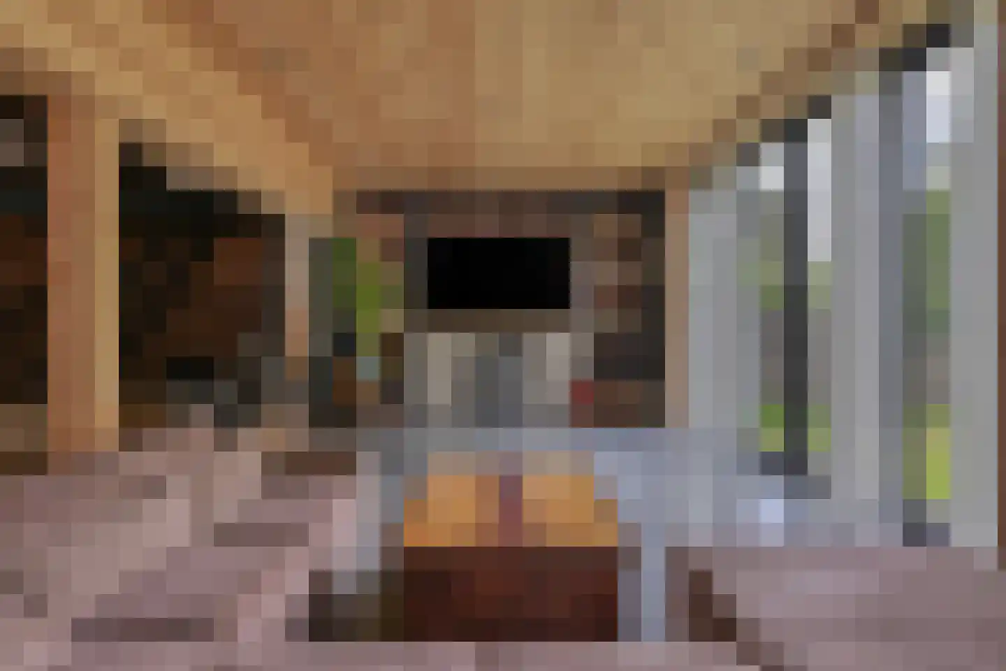 Middenweg 45 Noordbeemster thumbnail 7