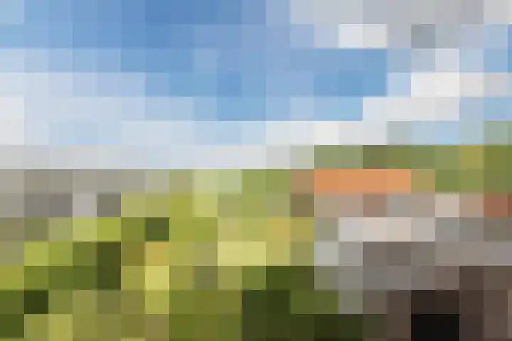 Middenweg 465 B Heerhugowaard thumbnail 32