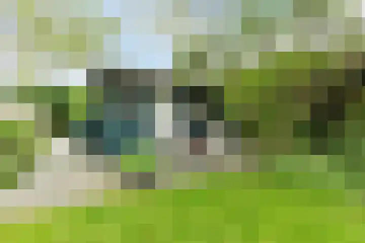Middenweg 478 C Heerhugowaard thumbnail 53