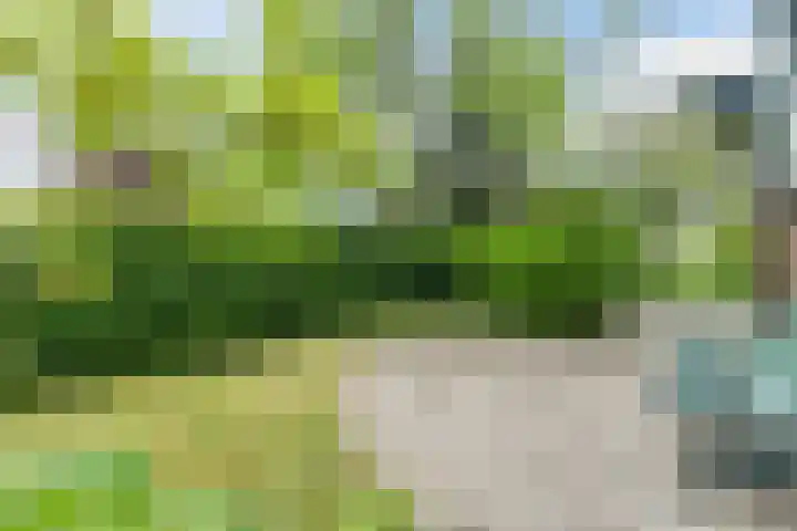 Middenweg 478 C Heerhugowaard thumbnail 67
