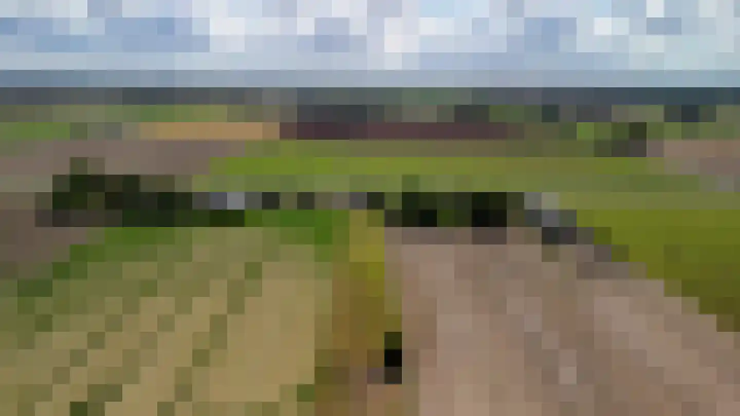 Middenweg 5 Biervliet thumbnail 39