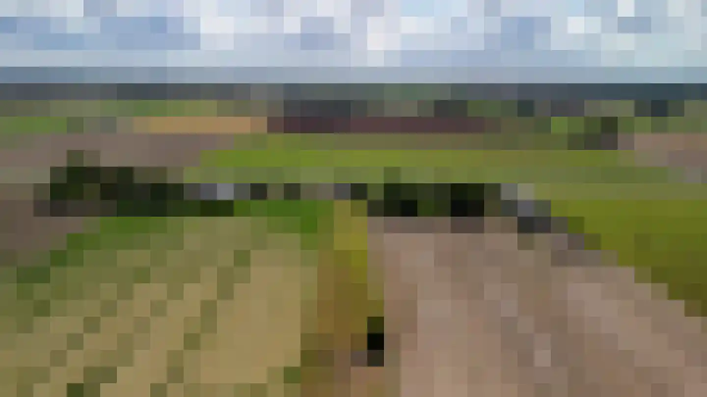 Middenweg 5 Biervliet thumbnail 40