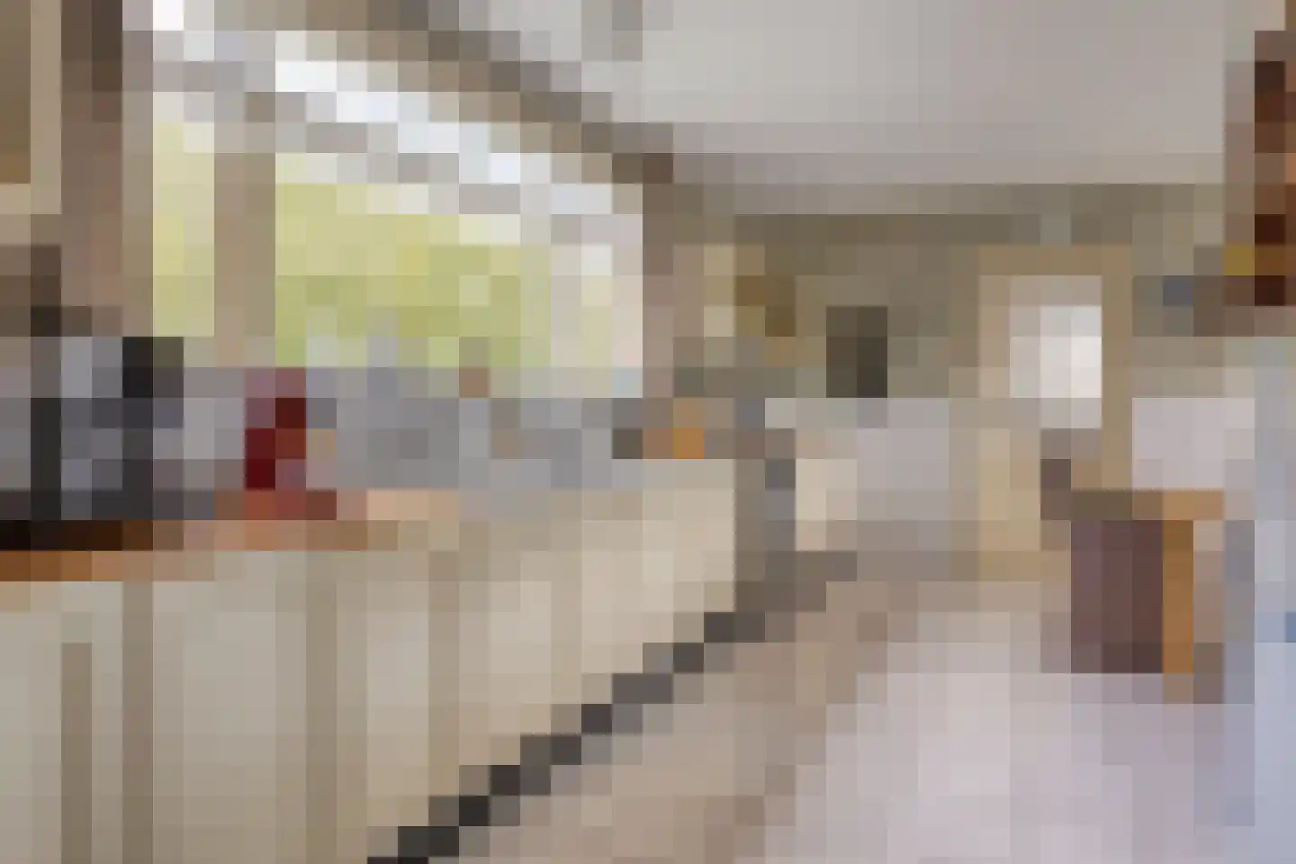 Middenweg 5 Biervliet thumbnail 6