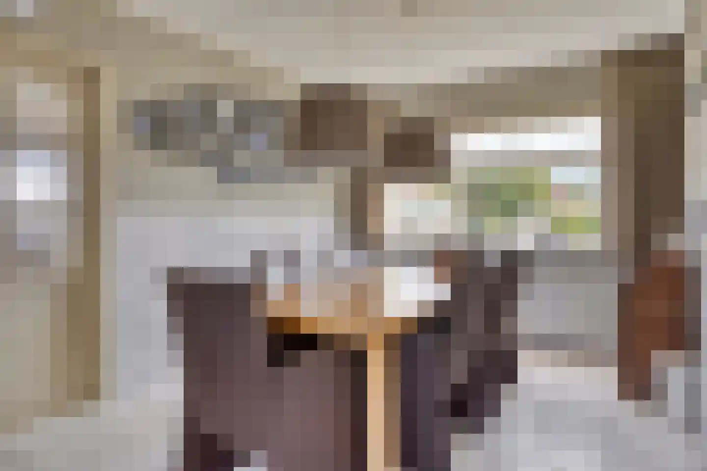 Middenweg 5 Biervliet thumbnail 6