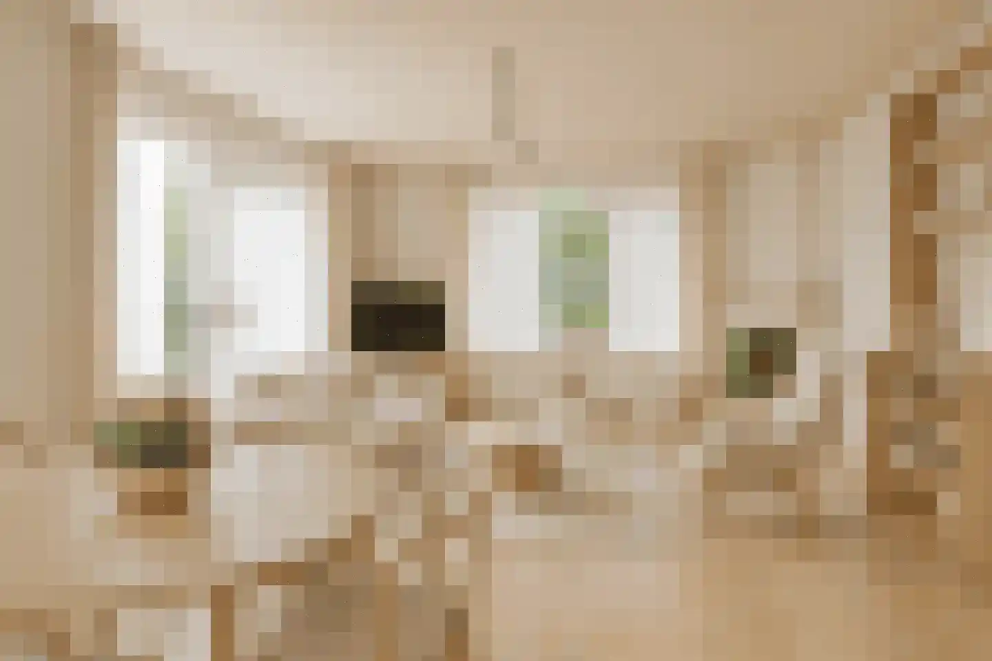 Middenweg 5 Biervliet thumbnail 8