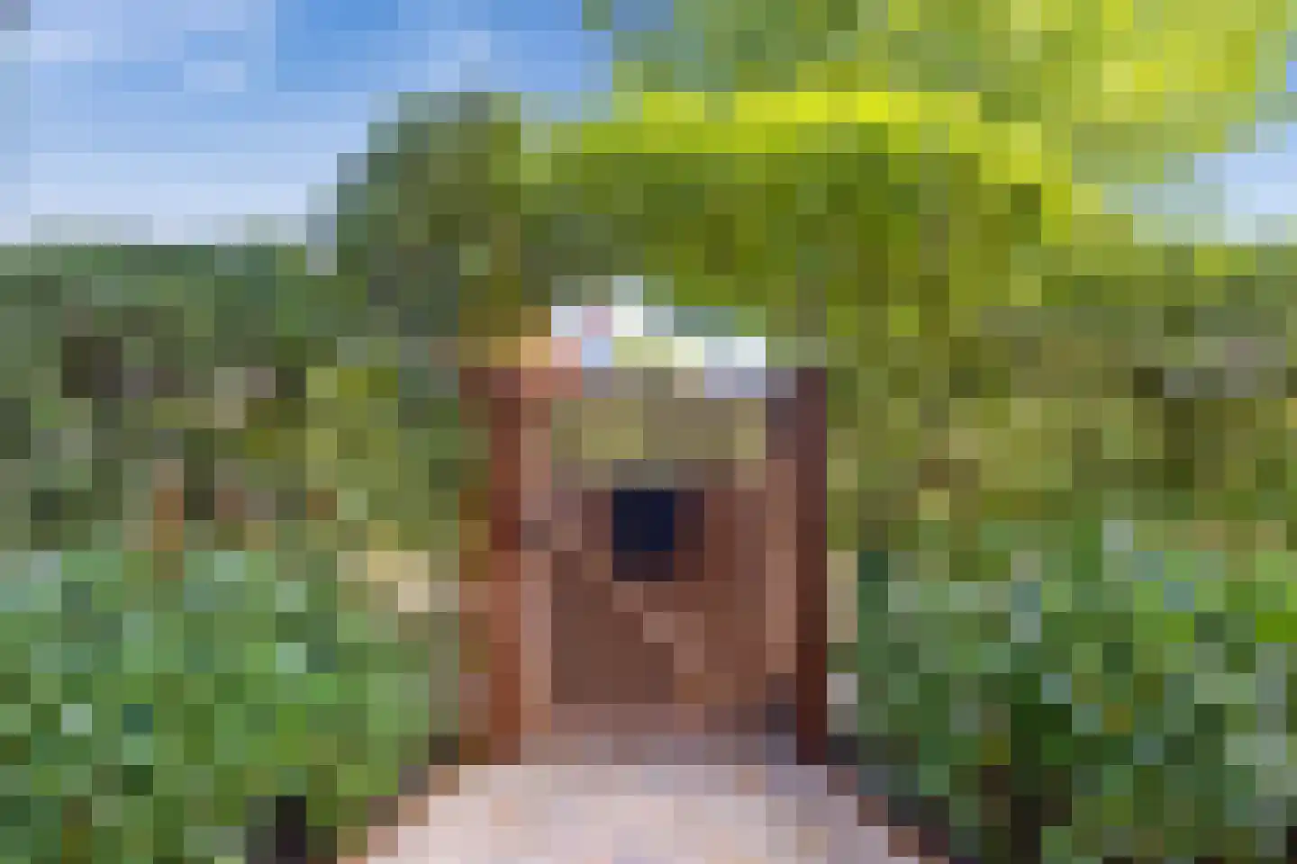 Middenweg 5 Blaricum thumbnail 54