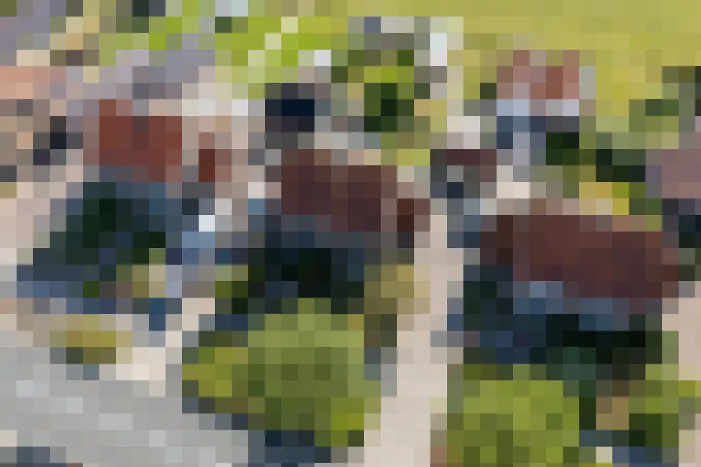 Middenweg 520 Heerhugowaard thumbnail 68