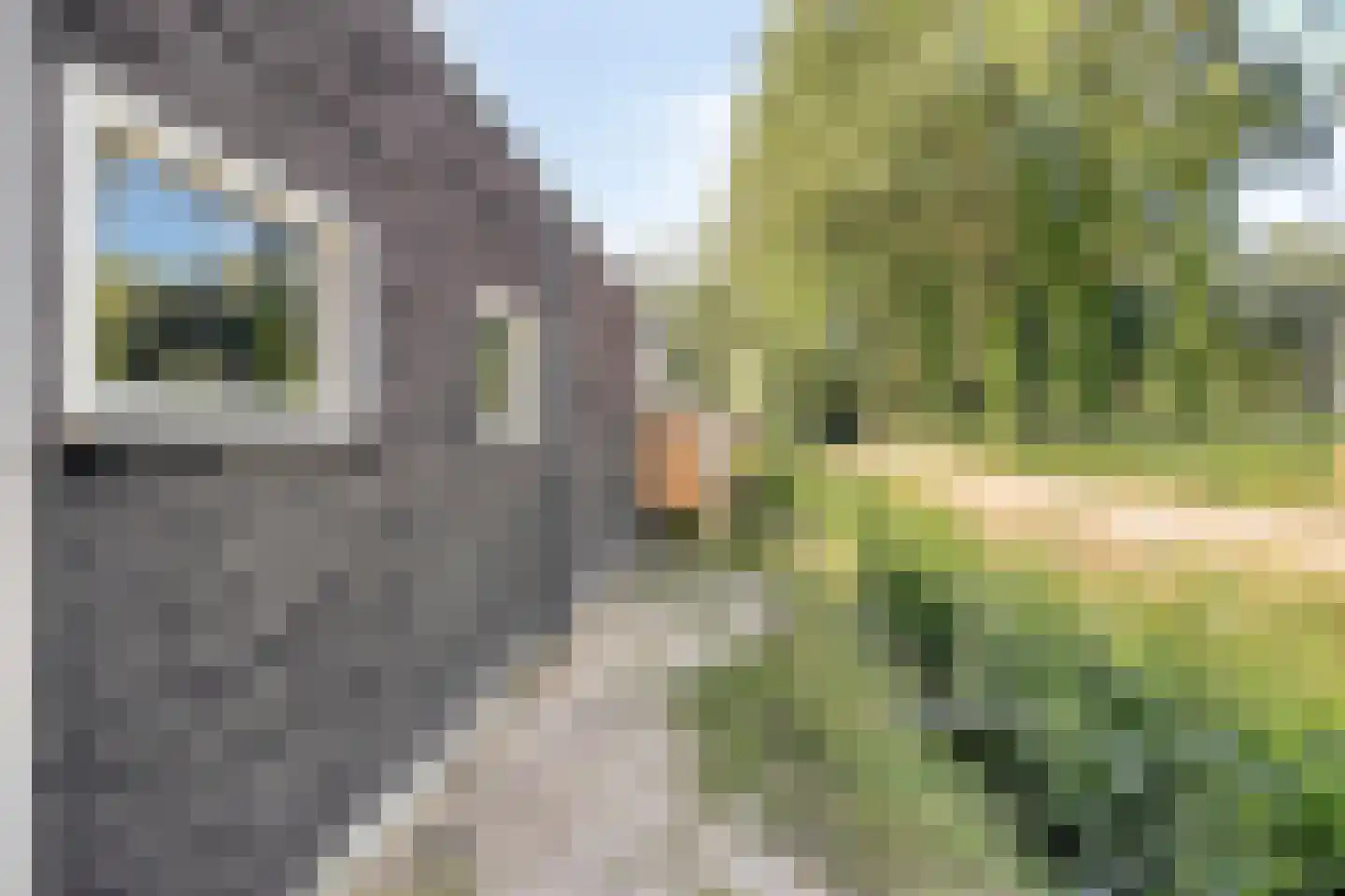Middenweg 54 Muntendam thumbnail 60