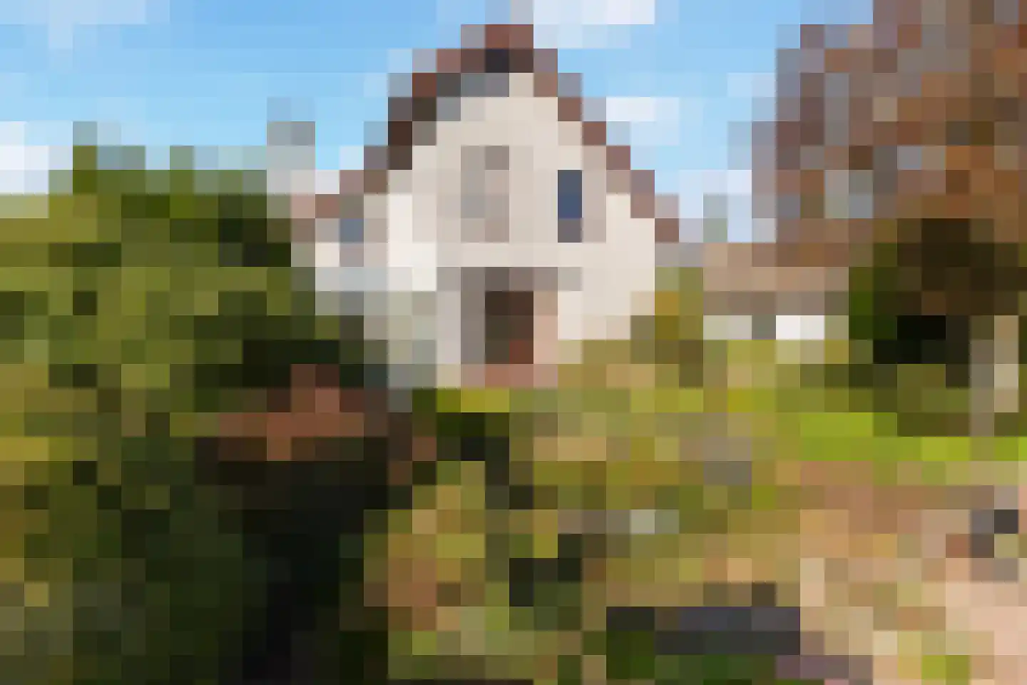 Middenweg 55 a Nederhorst den Berg thumbnail 41