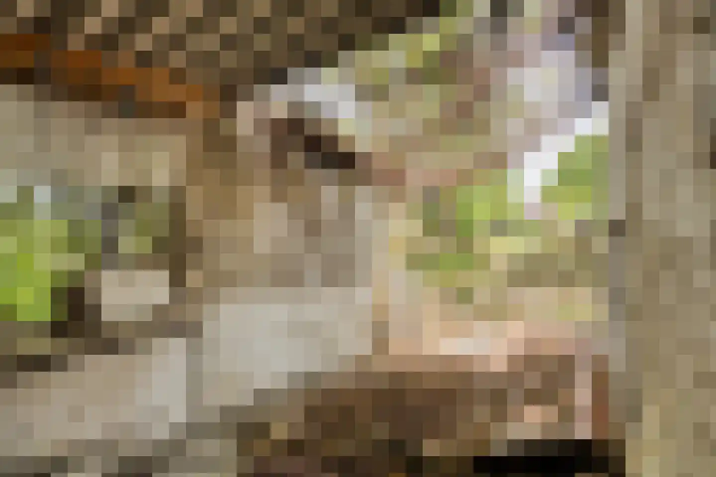 Middenweg 60 Echten thumbnail 28