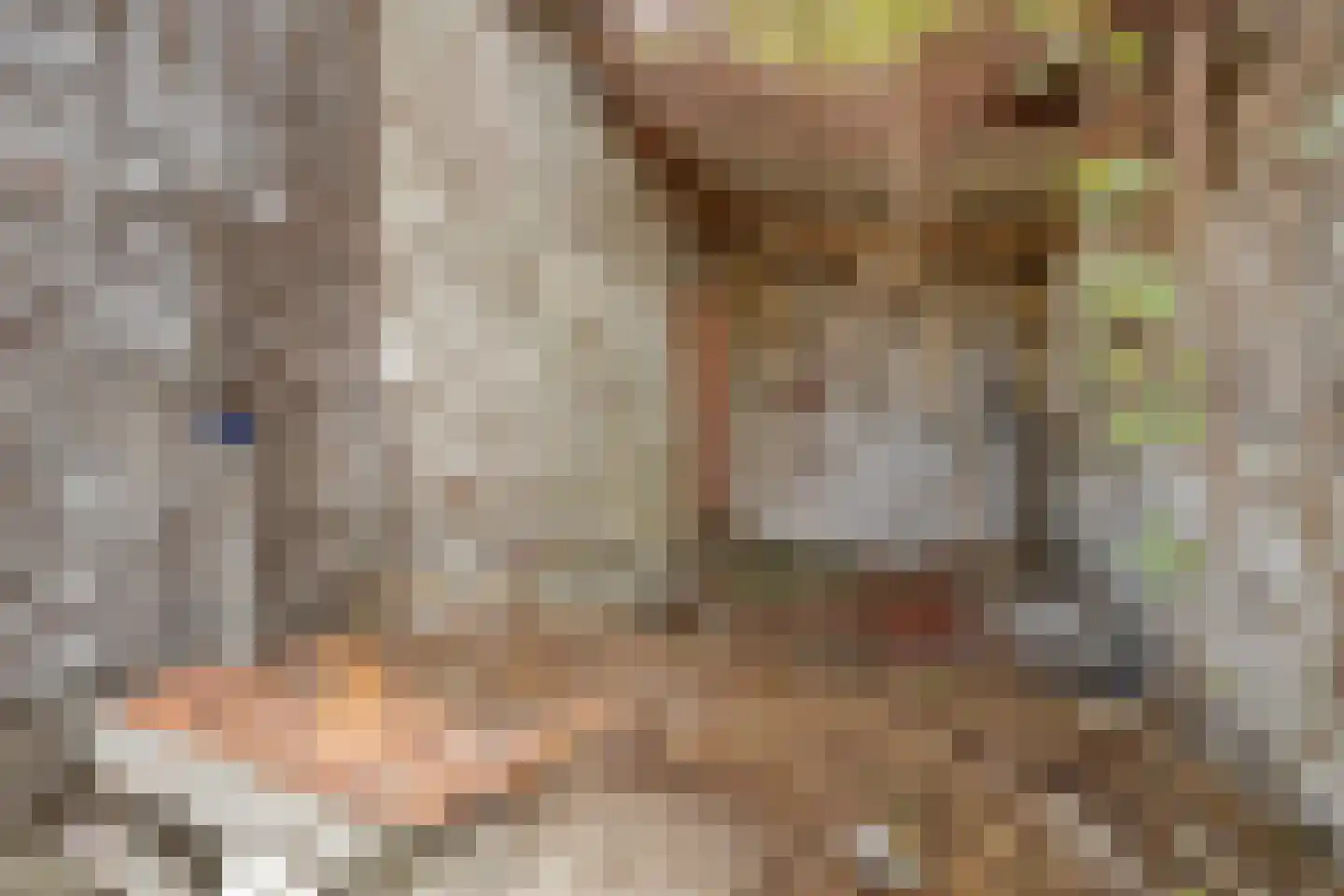 Middenweg 60 Echten thumbnail 29
