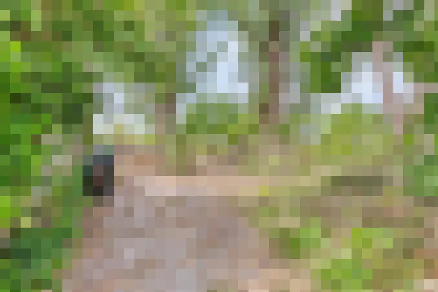 Middenweg 60 Echten thumbnail 30