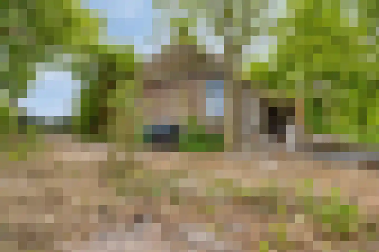 Middenweg 60 Echten thumbnail 31
