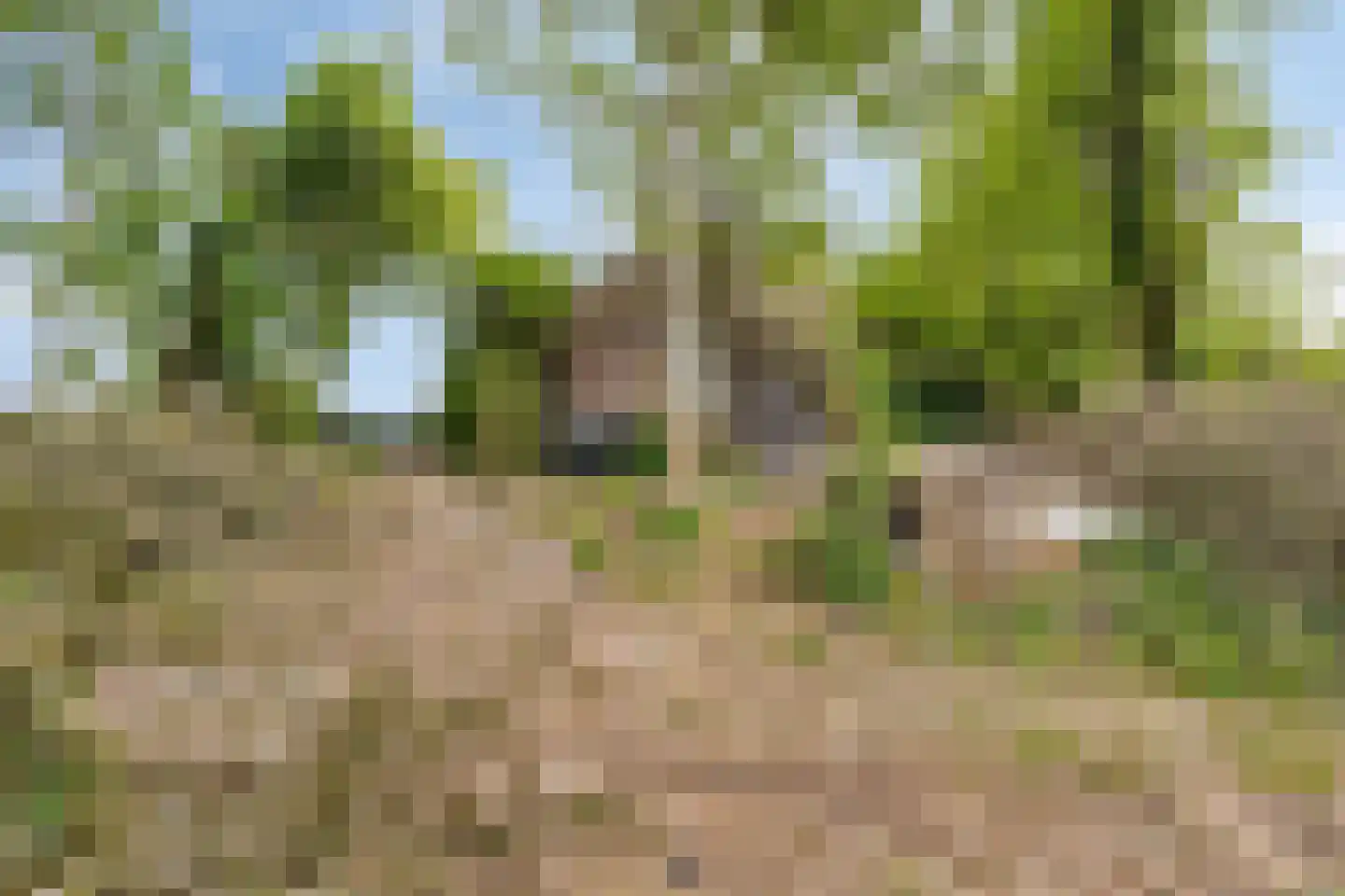 Middenweg 60 Echten thumbnail 32