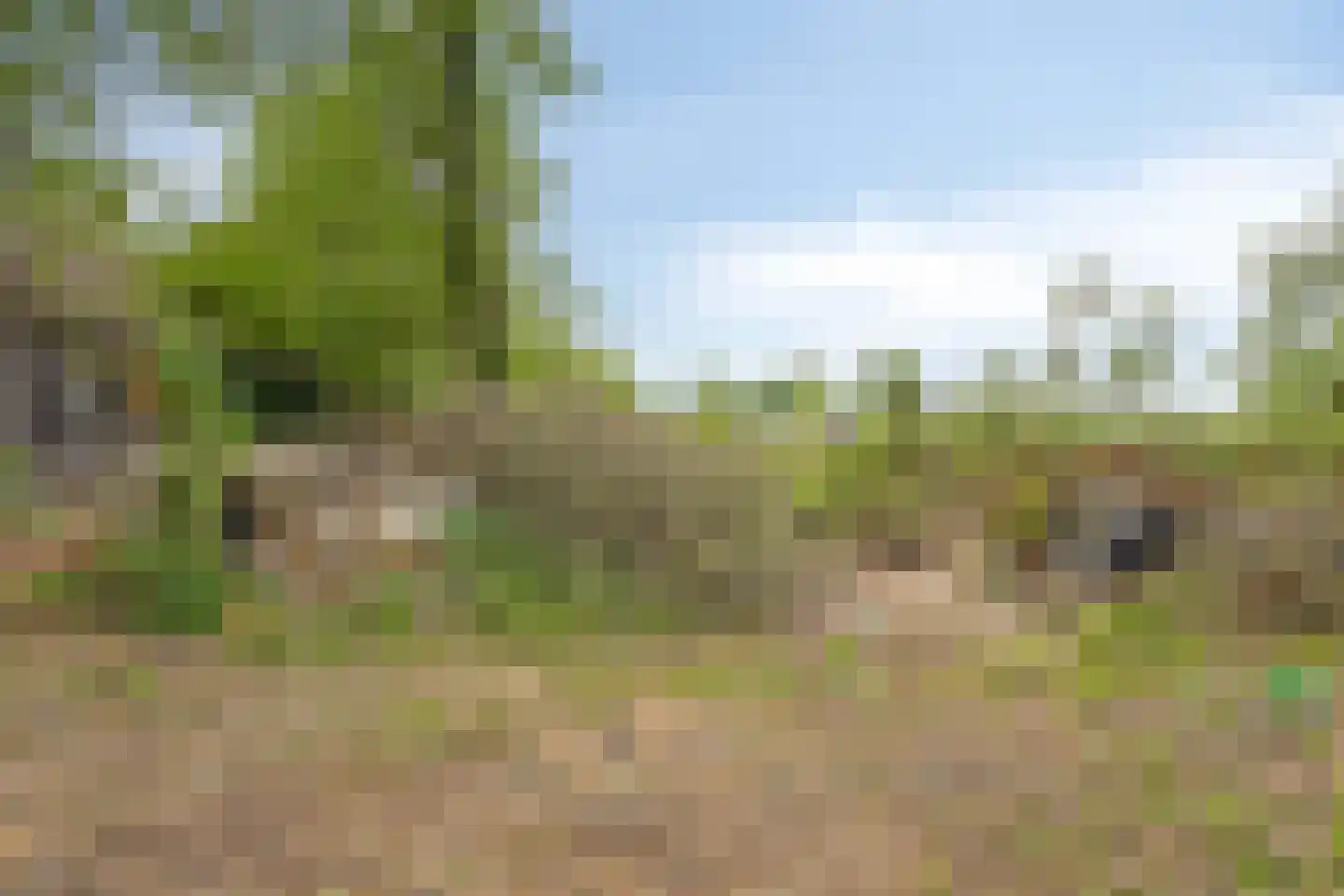Middenweg 60 Echten thumbnail 33