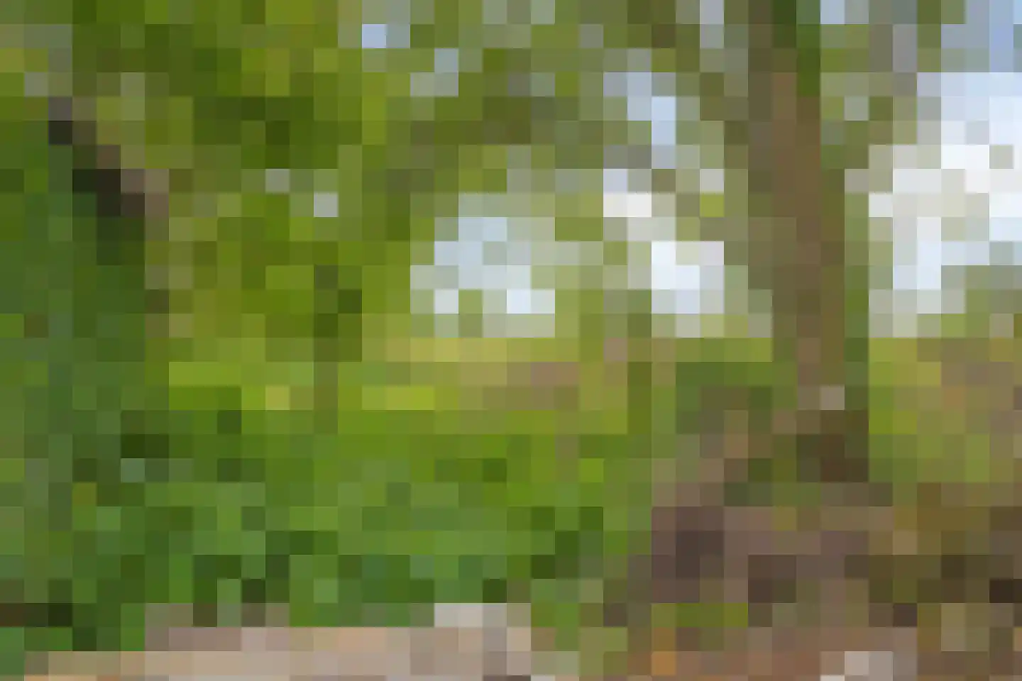 Middenweg 60 Echten thumbnail 34