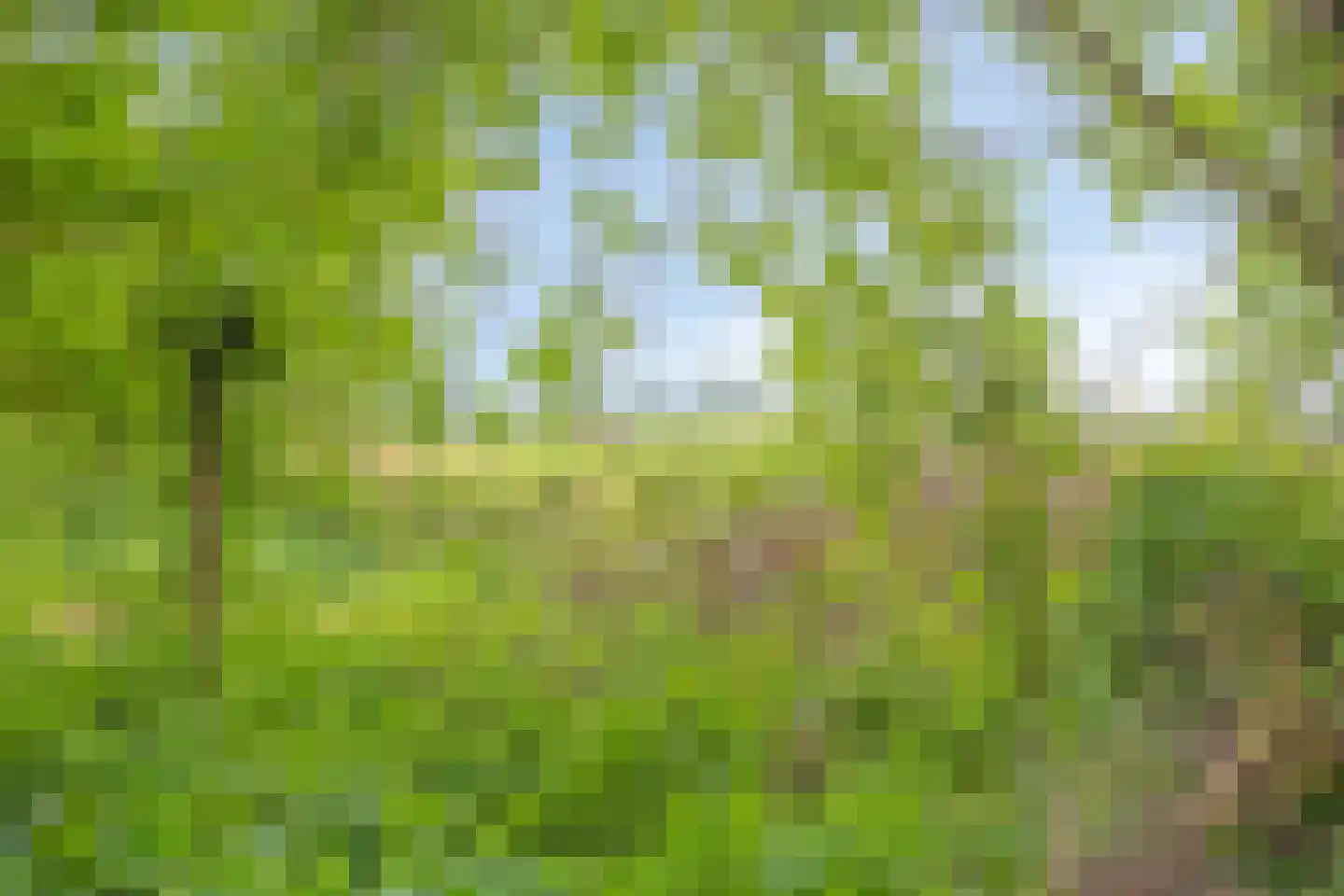 Middenweg 60 Echten thumbnail 35