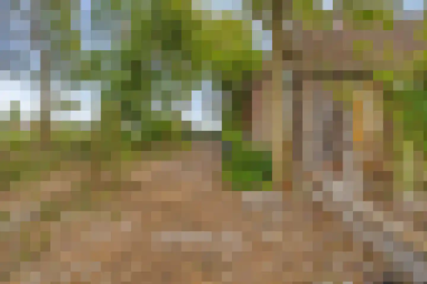 Middenweg 60 Echten thumbnail 36