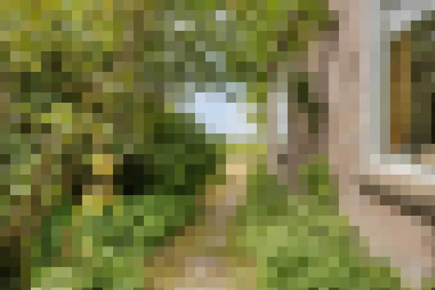 Middenweg 60 Echten thumbnail 38