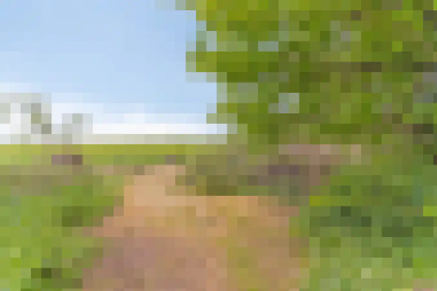 Middenweg 60 Echten thumbnail 39