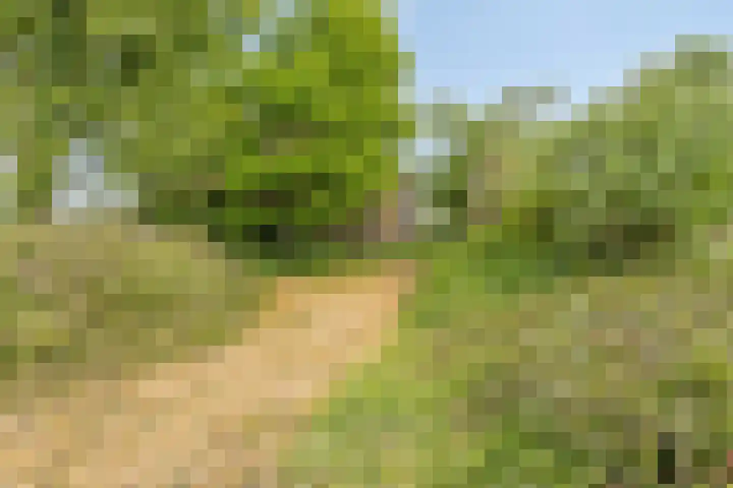 Middenweg 60 Echten thumbnail 40